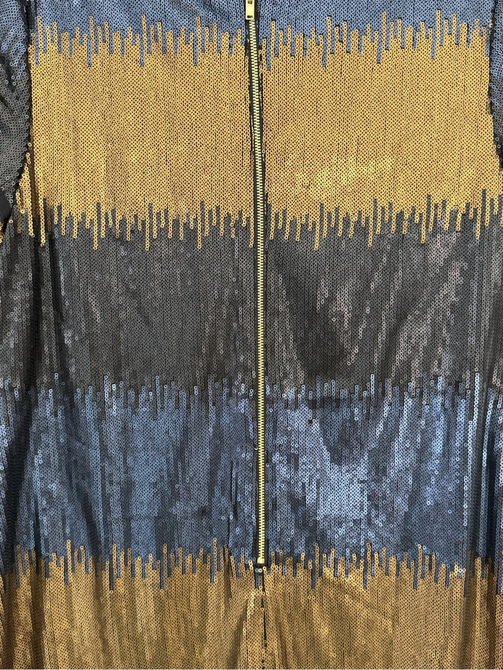 Ivy & Blu Sequin Stripe V-Neck Shift Dress in Black, Gold & Blue Size 10 - Picture 7 of 10
